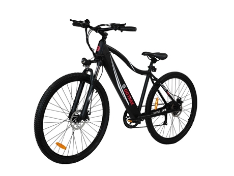 ALPHA XL电动自行车